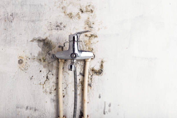 Best Local Mold Removal Service  in Village Shires, PA