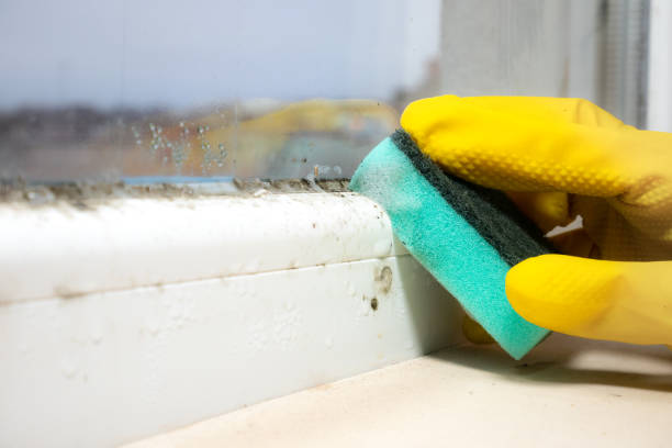 Best Office Mold Removal Services  in Village Shires, PA