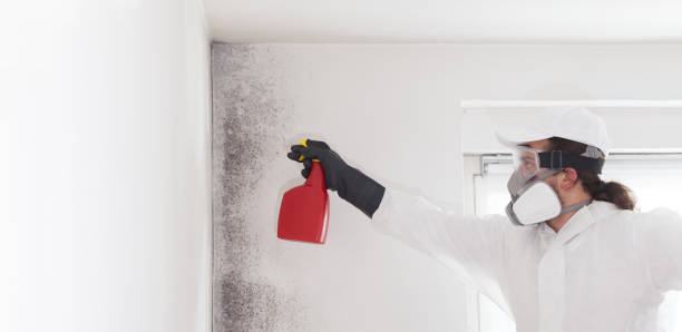 Water Damage Restoration in Village Shires, PA