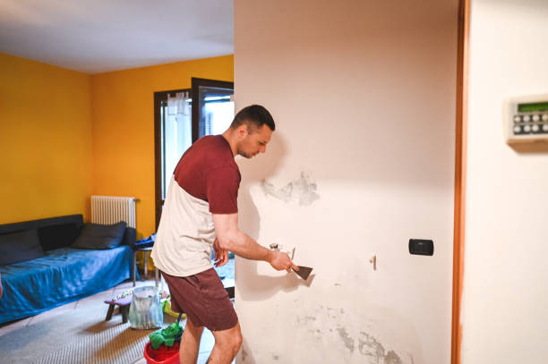 Best Professional Mold Removal  in Village Shires, PA